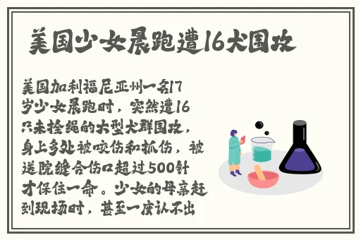 拔擦拔擦8X华人免费播放器